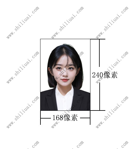 上海中考网报名证件照标准图