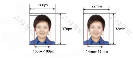 驾驶证证件照 标准尺寸样品